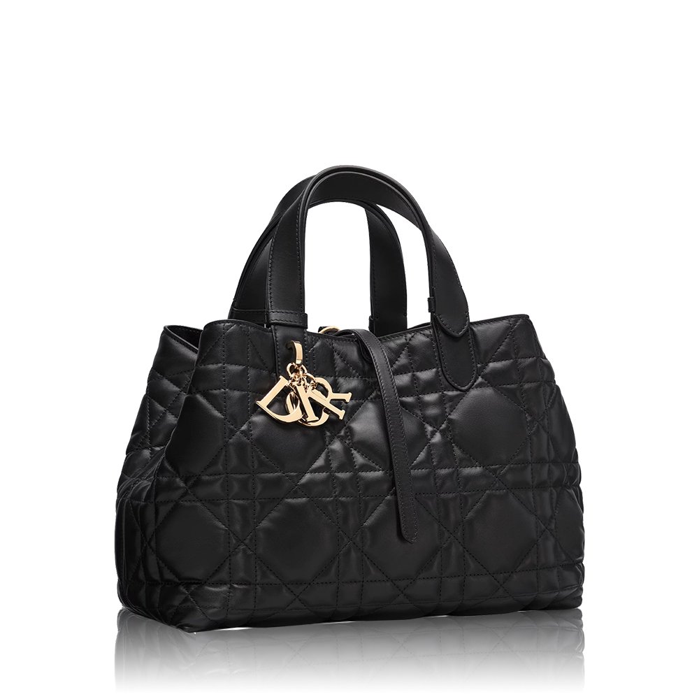 Dior Toujours Bag
