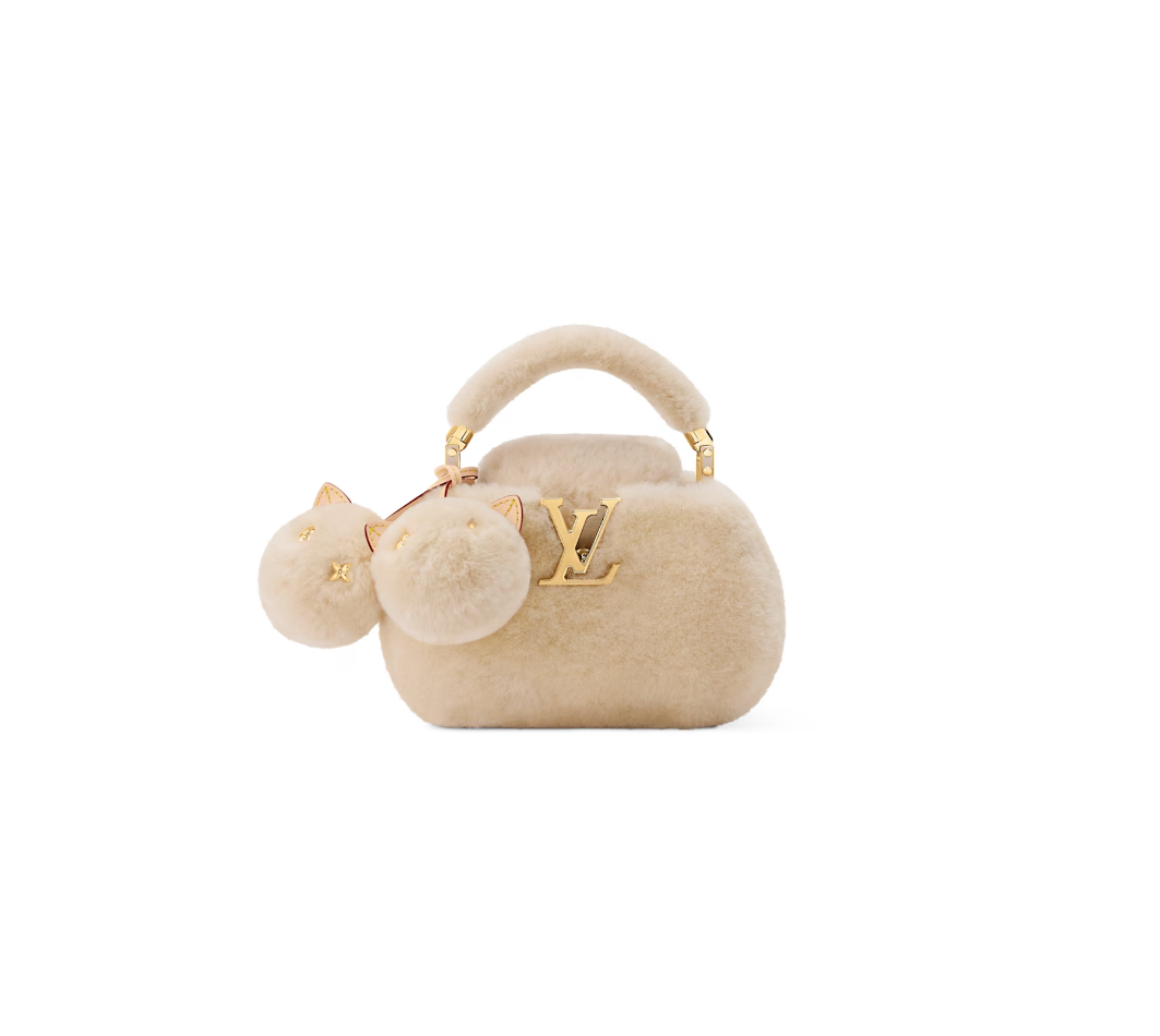 LOUIS VUITTON Shearling Capusnow Top-Handle Bag