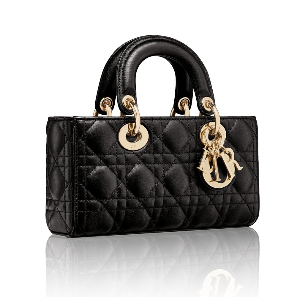 Dior Small Lady D-Joy