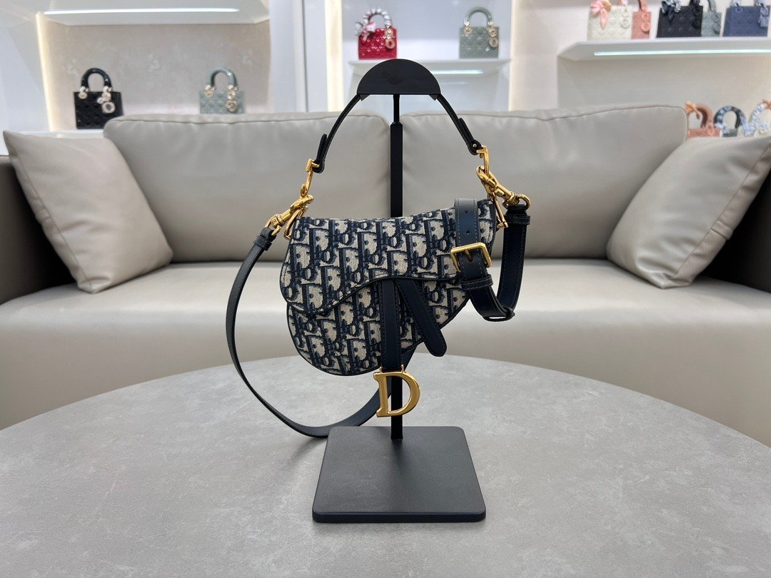 Dior Mini Saddle Bag - 10A Version