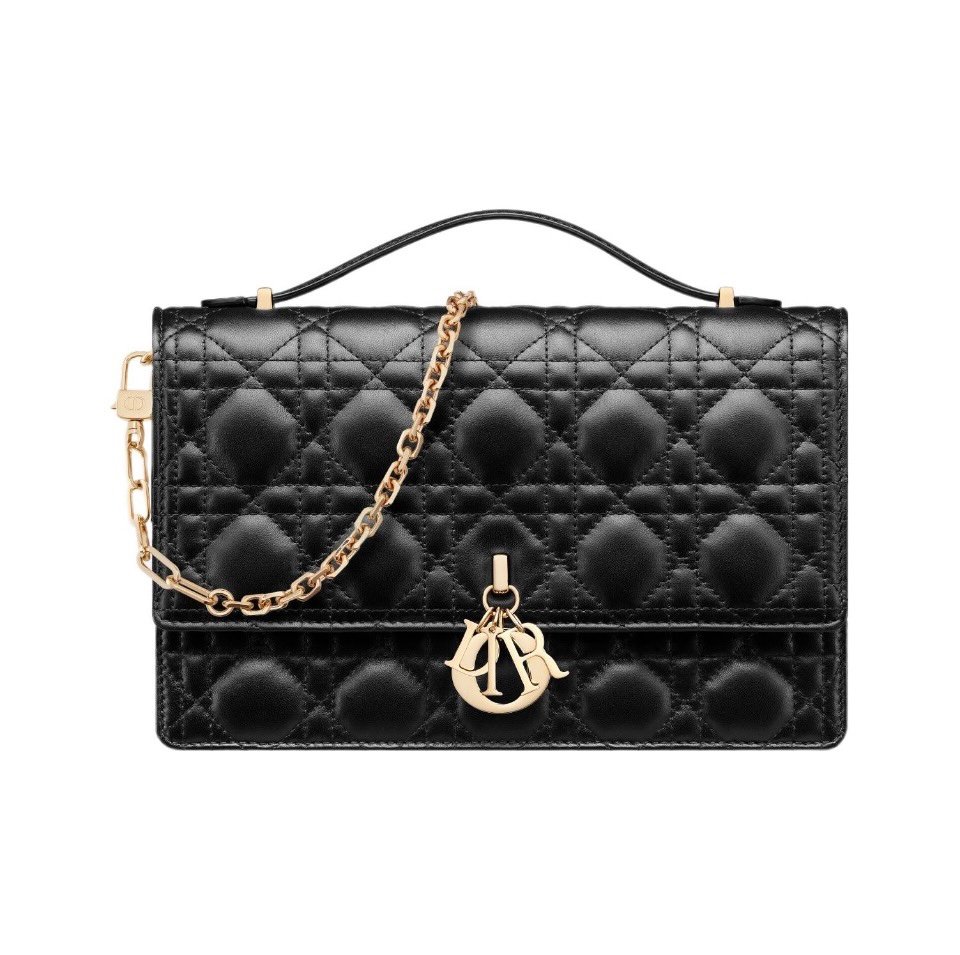 DIOR Lady  My Dior Small Bag