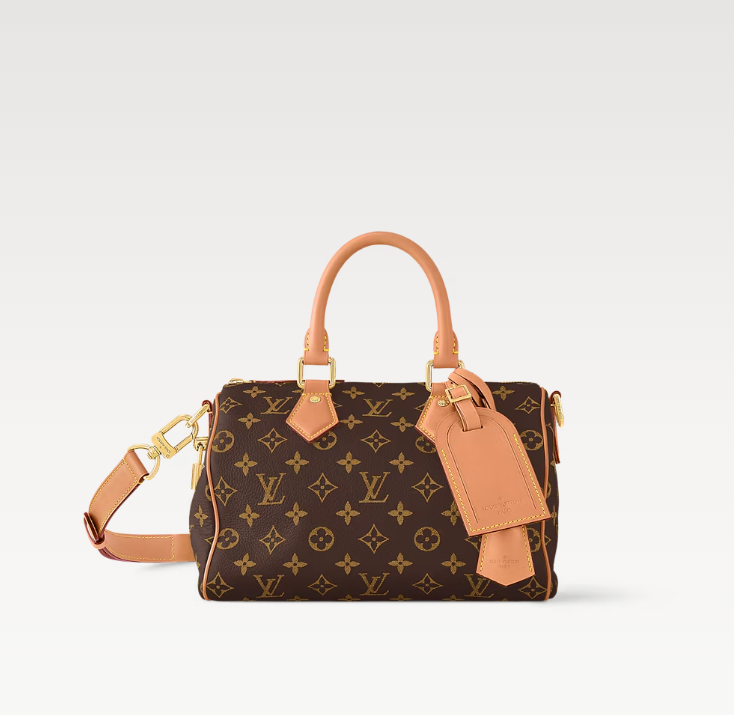 LouisV SPEEDY P9 BANDOULIÈRE 25 M24443 (25*15*15cm) Monogram