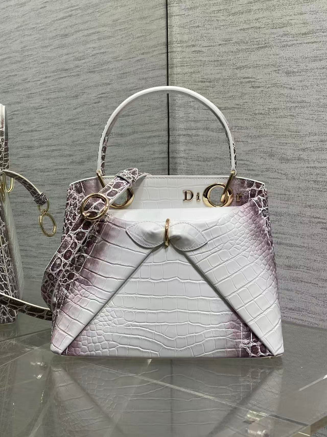 Dior 2026 Newest Bow Handbag