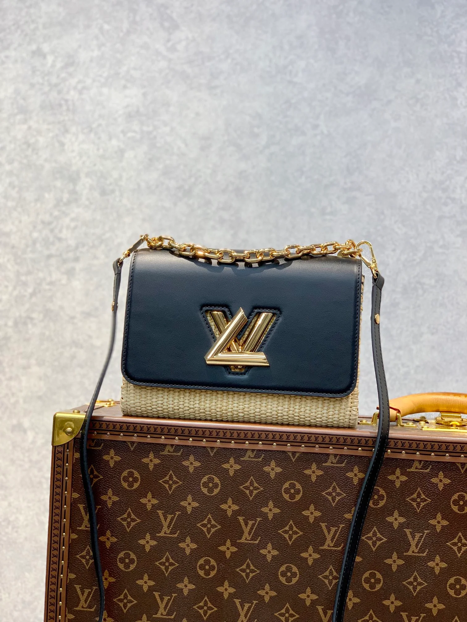 Louis Vuitton Twist MM-23*18*8CM