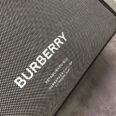 bubag99976ewewrwer_7_