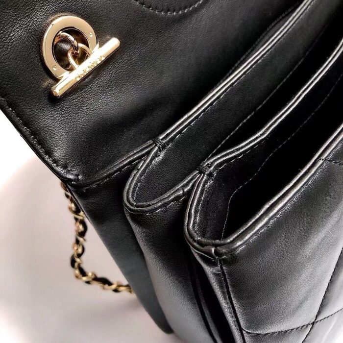 ch_nel_trendy_cc-champagne_gold-24_1_