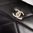 ch_nel_trendy_cc-champagne_gold-24_3_