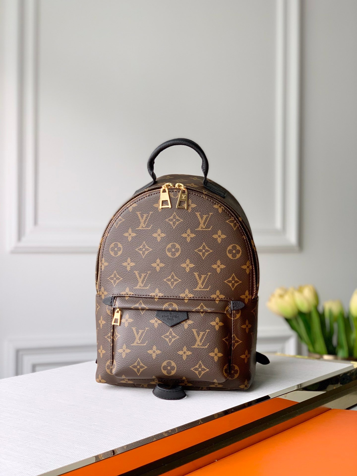 Louis Vuitton Backpack-M44871-22*19*10CM