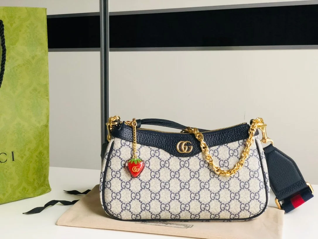 Gucci Chain Bag-25*15*6CM
