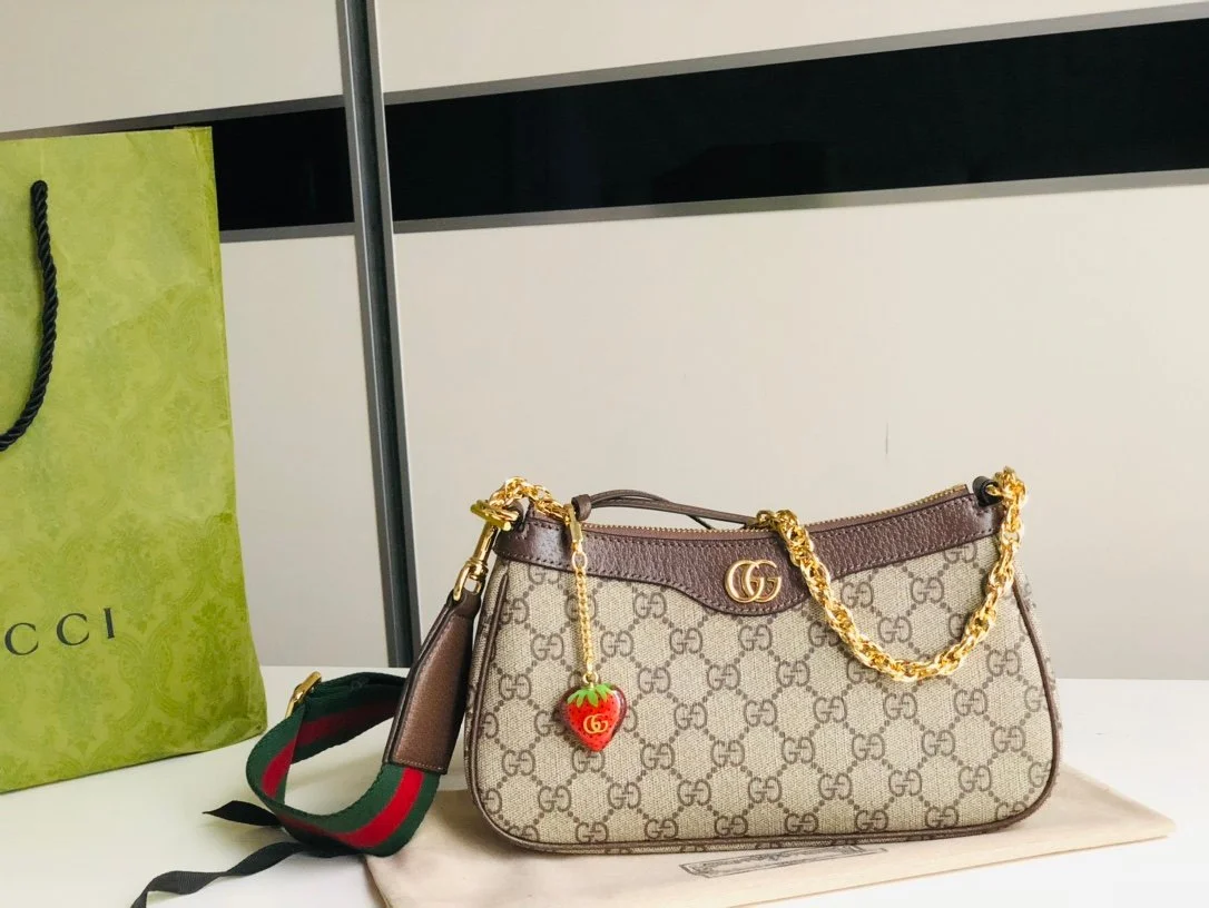 Gucci Chain Bag-25*15*6CM