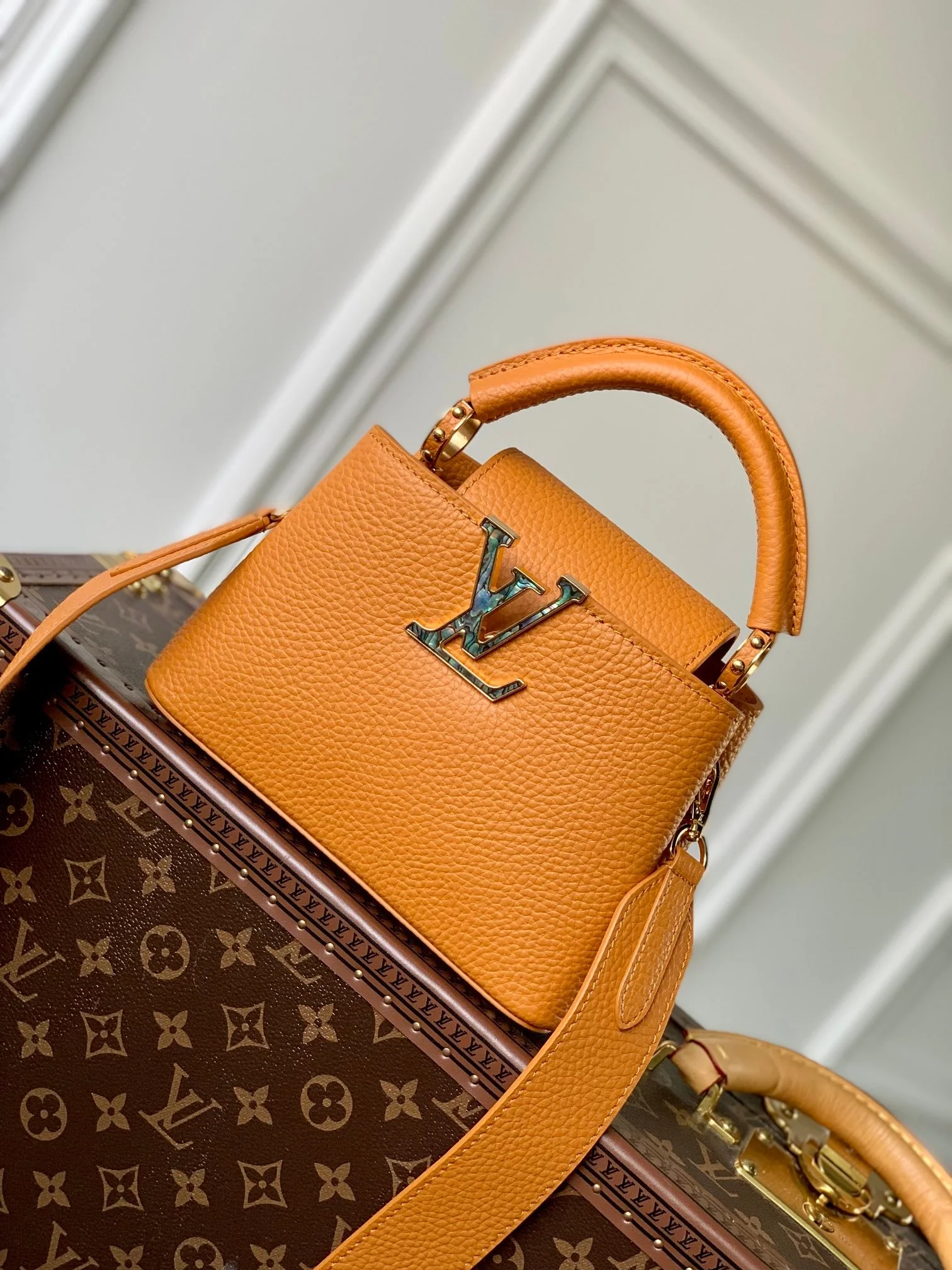 Louis Vuitton Mini Capucines Handlebag-M21168-21*14*8CM