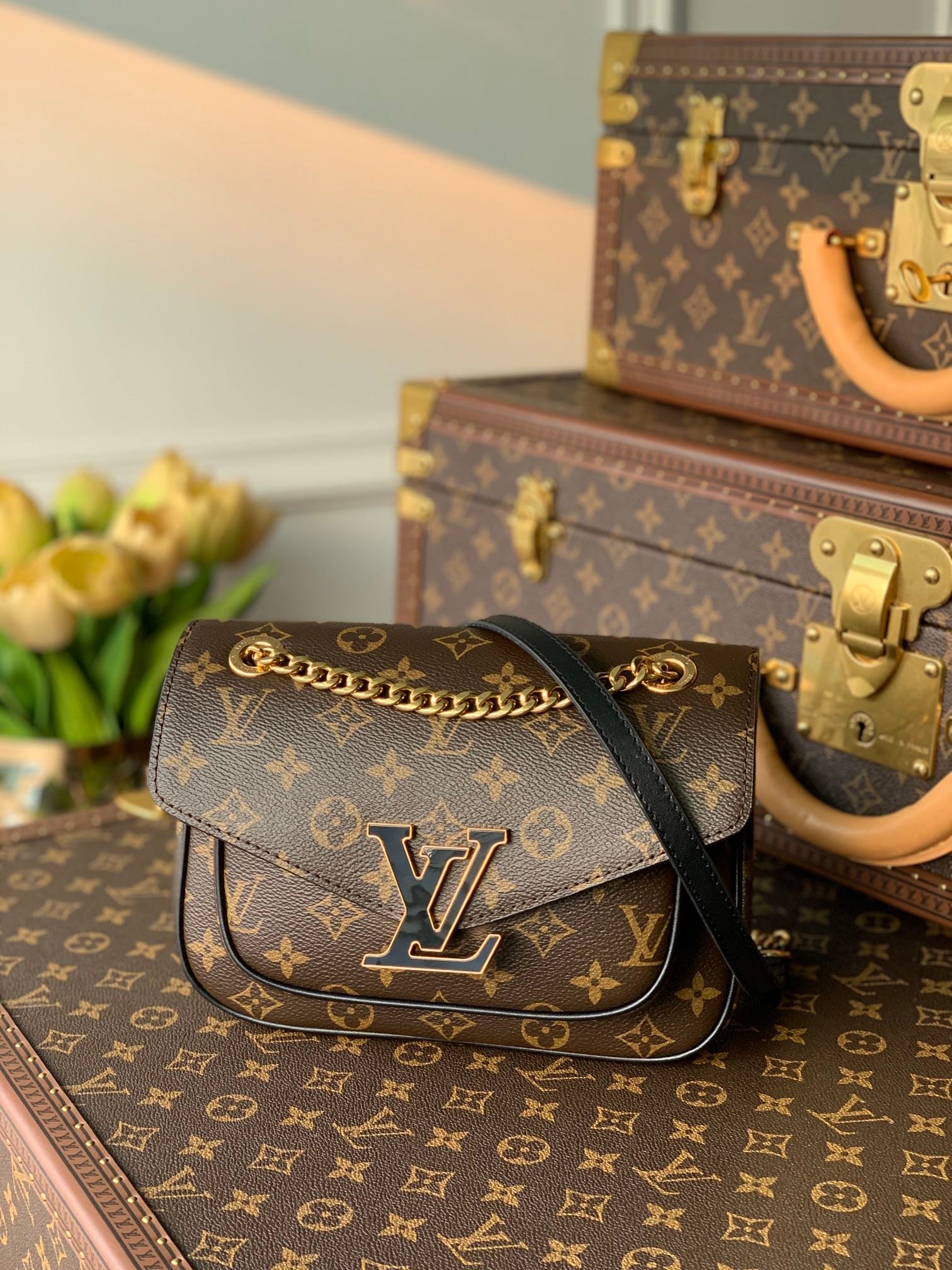 Louis Vuitton NeoMonceau Handbags-22*17*10CM
