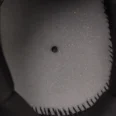 5fe1c3a9b06d4d879f4228b86d9c4649
